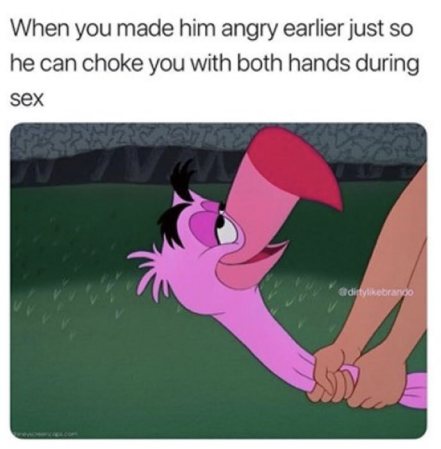 A meme of a cartoon flamingo being grabbed, captioned: when you made him angry earlier just so he can choke you with both hands during sex